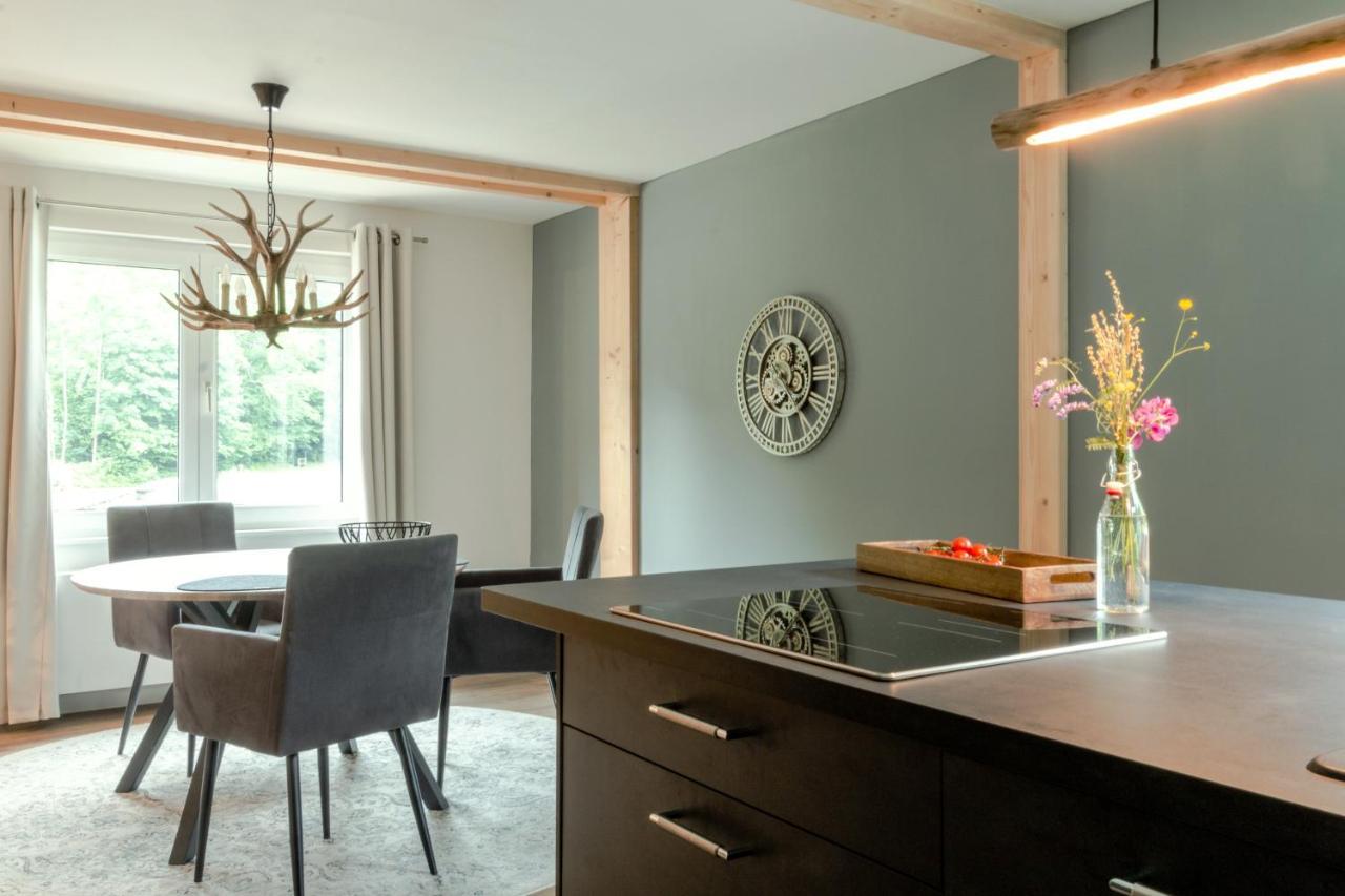Harzfalke Apartment - Ankommen Und Wohlfuehlen. Wieda Екстер'єр фото